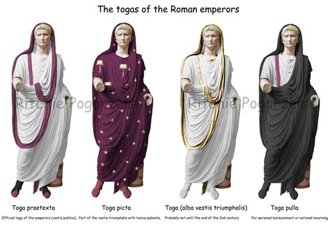 frat toga|The 6 Types of Togas Worn in Ancient Rome .